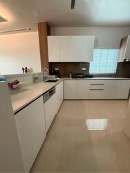 Belle Vue Residences (D9), Condominium #606353261